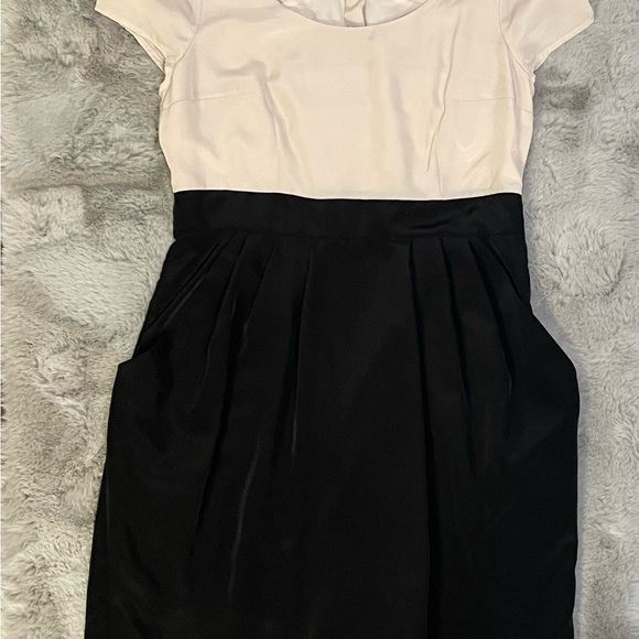 Chic Two-Tone Dress with Black - Picture 4 of 7